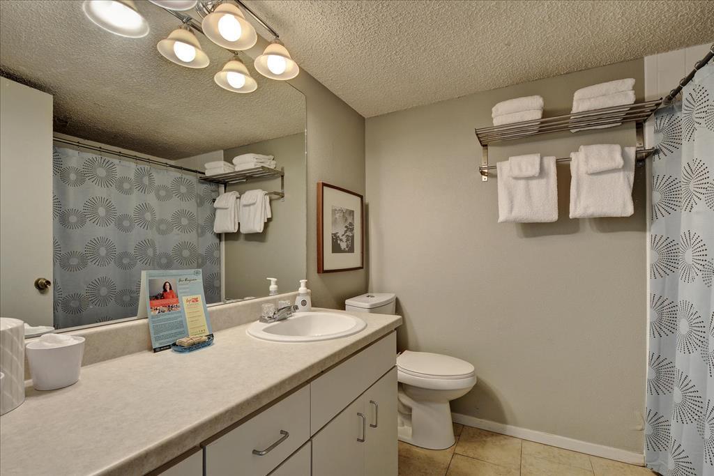 Littlefield Lofts #704 Apartment Austin